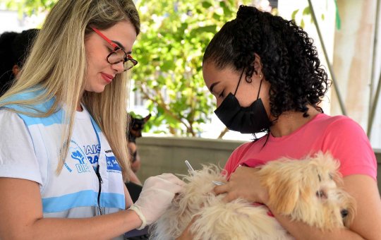 Pets: vacinação antirrábica segue com drive-thru e fixos neste fim de semana