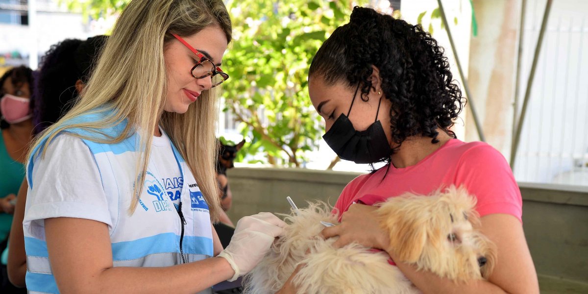 Pets: vacinação antirrábica segue com drive-thru e fixos neste fim de semana