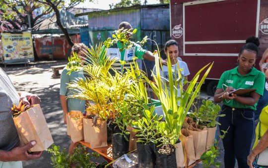 Caravana da Mata Atlântica distribui mudas de espécies nativas em Mussurunga