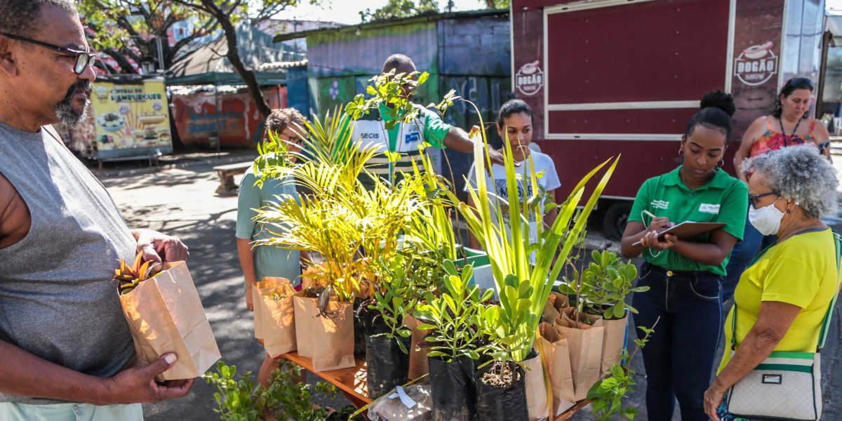 Caravana da Mata Atlântica distribui mudas de espécies nativas em Mussurunga