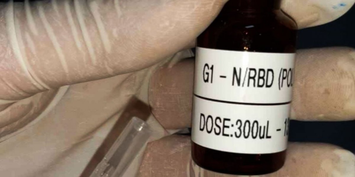 Vacina brasileira contra covid-19 pode ter testes em humanos em 2023