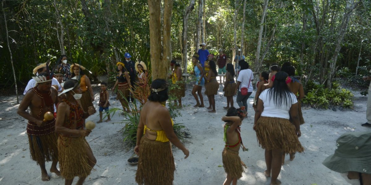 Indígenas Pataxós são mortos e outros ficam feridos em ataque a tiros na Bahia