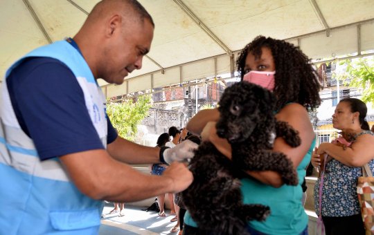 Vacinação antirrábica segue em quatro shoppings neste fim de semana