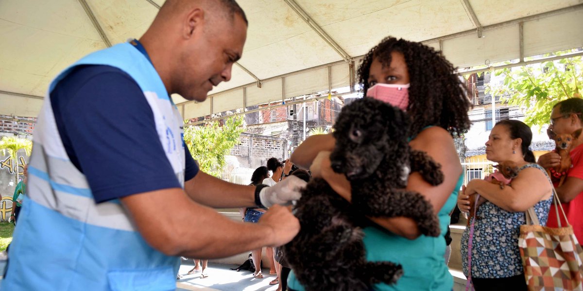 Vacinação antirrábica segue em quatro shoppings neste fim de semana