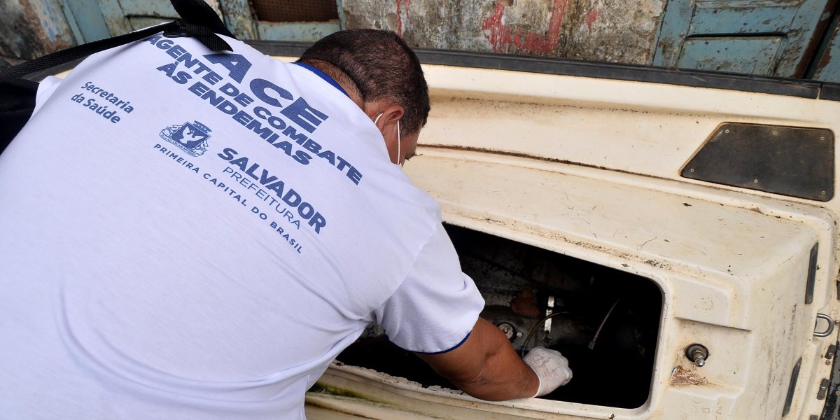 CCZ realiza ações intensificadas para combater focos de dengue em Salvador