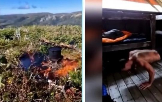 Ibrahimovic vive isolamento em floresta para se recuperar de lesão