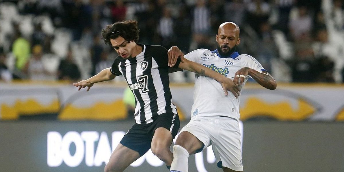 Brasileirão: com objetivos opostos, Avaí e Botafogo se enfrentam na Ressacada