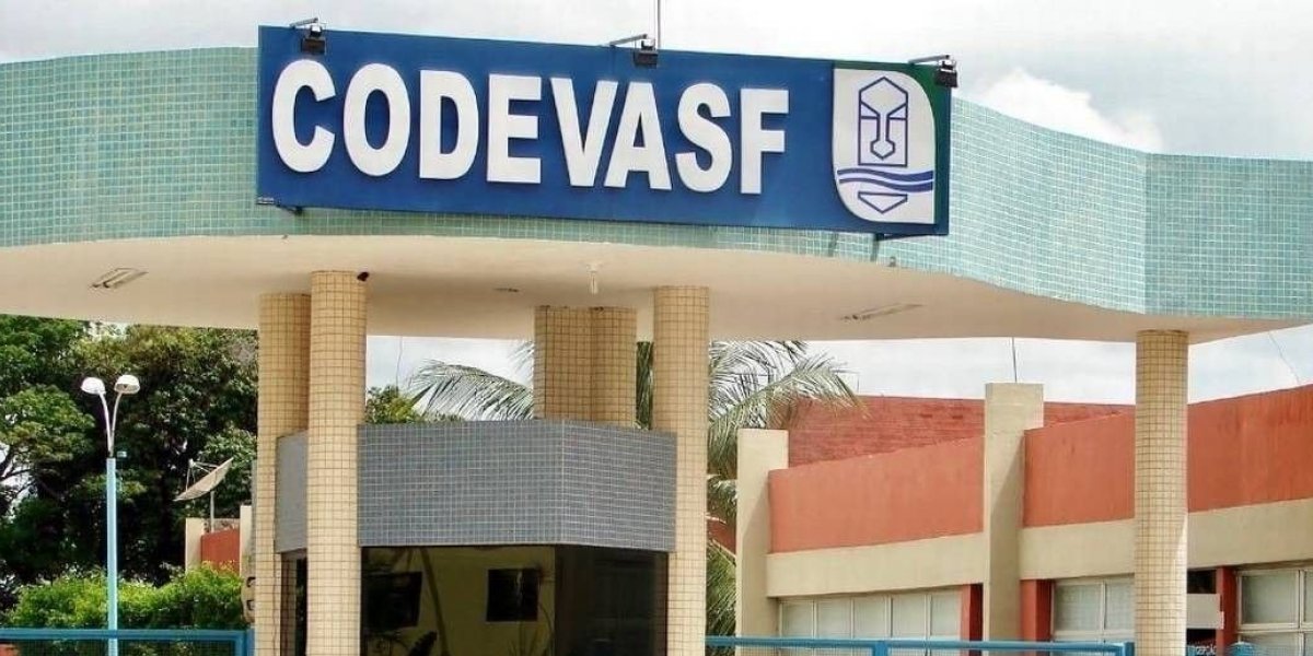 Auditoria do TCU indica atuação de 'cartel do asfalto' no governo Bolsonaro