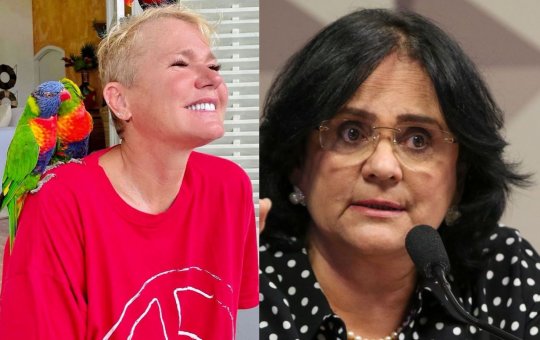 Petição de Xuxa contra Damares Alves alcança mais de 500 mil assinaturas