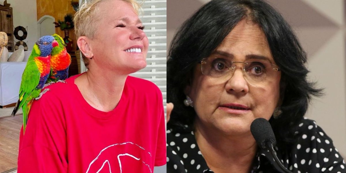 Petição de Xuxa contra Damares Alves alcança mais de 500 mil assinaturas