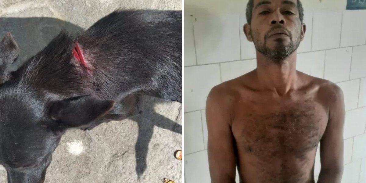 Homem é preso ao tentar degolar cachorro com facão na Bahia