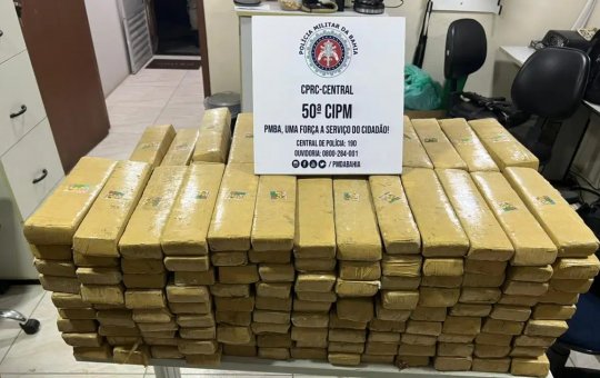 Salvador: PM apreende 230 kg de maconha em Nova Brasília 