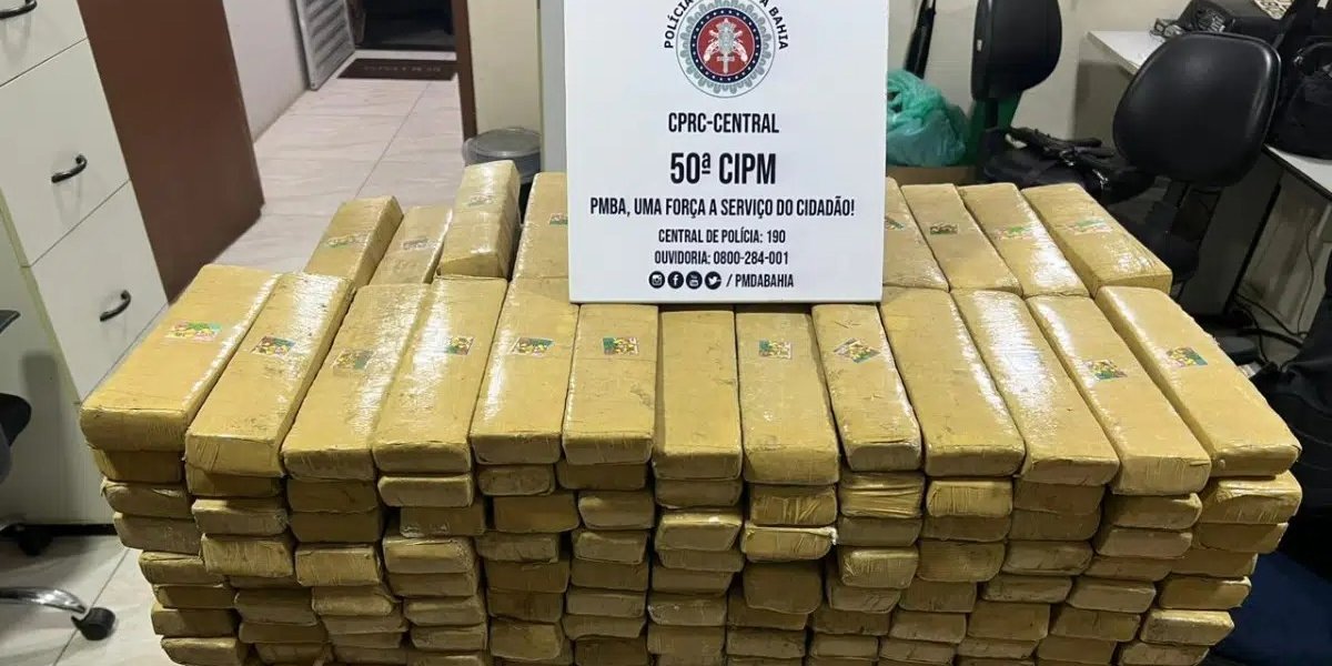 Salvador: PM apreende 230 kg de maconha em Nova Brasília