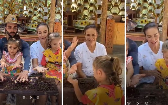 Coragem! Ivete Sangalo compartilha momento em que filhas brincam com abelhas