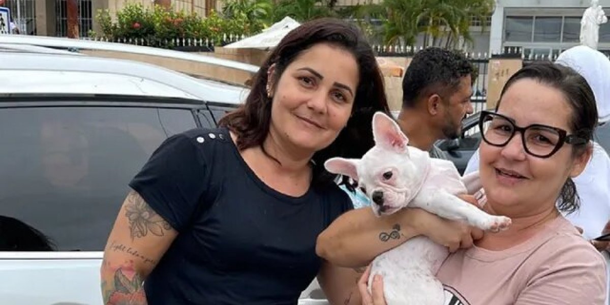 Final feliz! Após ser roubada, Amora é devolvida para a dona