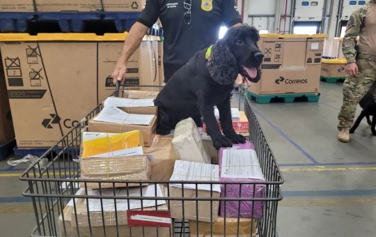 BA: Polícia Civil apreende drogas enviadas em caixas de presente pelos Correios