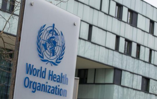 Mudança do nome de varíola dos macacos para mpox é recomendado pela OMS