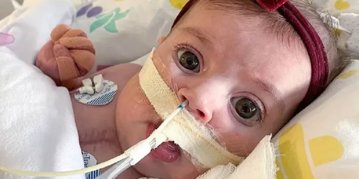 Mulher de Juliano Cazarré pede orações para filha com quadro grave: "Piorou"