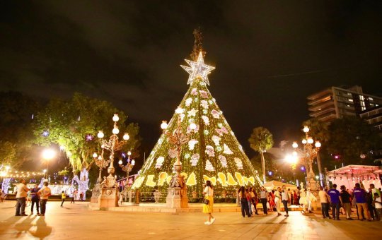 Com 4 milhões de lâmpadas, decoração natalina é inaugurada no Campo Grande
