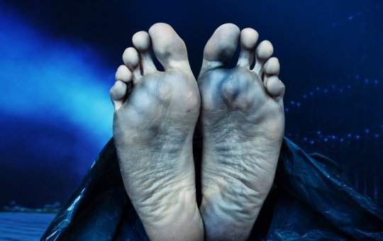 Corpo esquartejado é encontrado na Capelinha de São Caetano, em Salvador