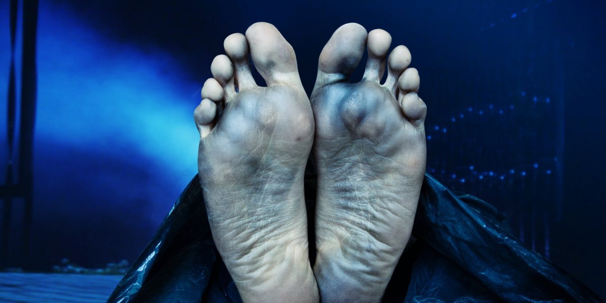 Corpo esquartejado é encontrado na Capelinha de São Caetano, em Salvador