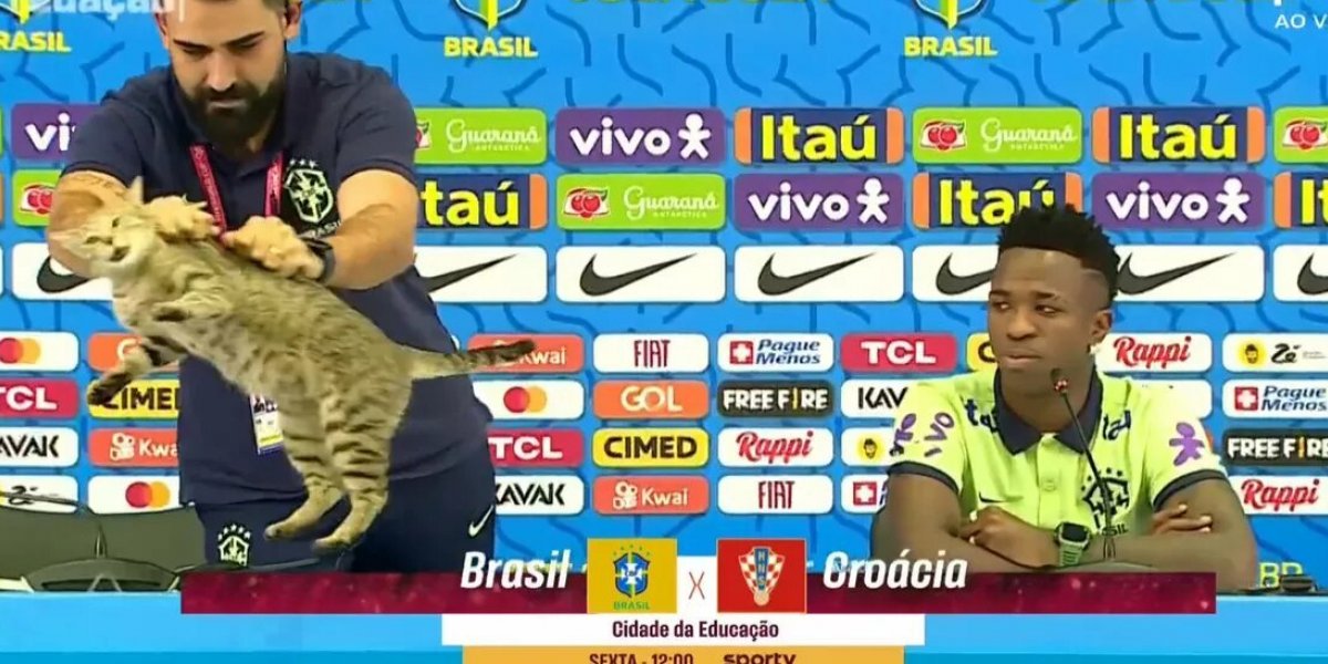 Assessor da CBF é criticado por arremessar gato durante coletiva