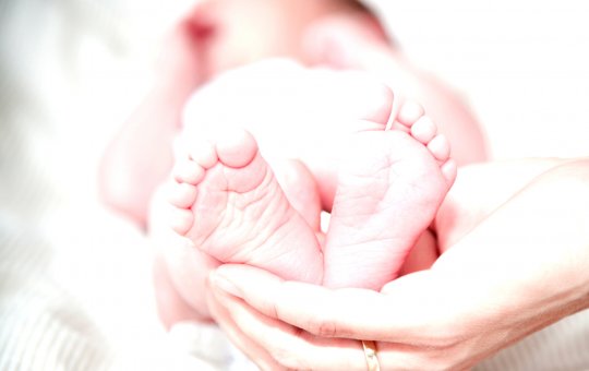 Empresa cria úteros artificiais para 'fabricar' bebês