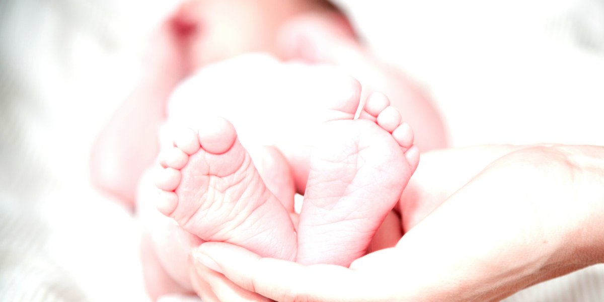 Empresa cria úteros artificiais para 'fabricar' bebês