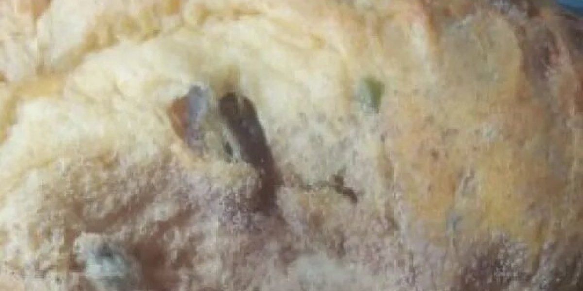 Panetones mofados são entregues em cesta natalina pela prefeitura de Camaçari