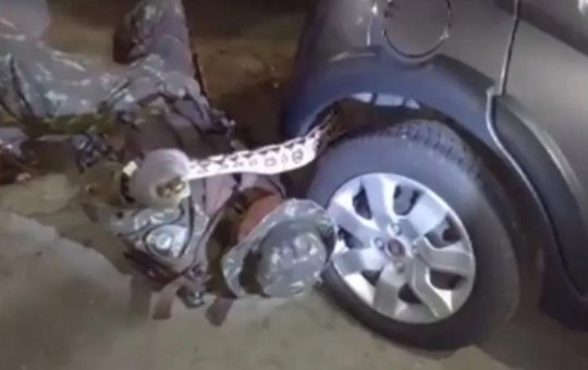 Salvador: jiboia é encontrada em para-choque de carro no bairro Jardim Armação