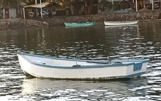 Polícia Federal realiza operação contra pesca com bomba em Salvador