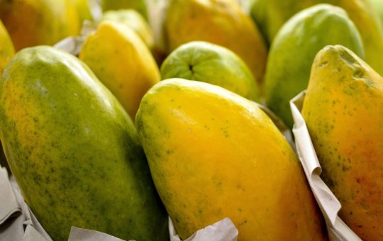 Governo prorroga prazo para cadastro na Agricultura Familiar