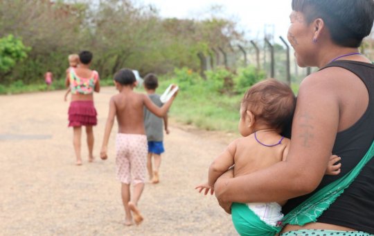 Yanomami: mais de 5 mil atendimentos médicos foram feitos em um mês