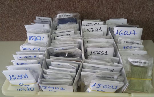 Polícia Militar recupera 567 documentos perdidos na Folia