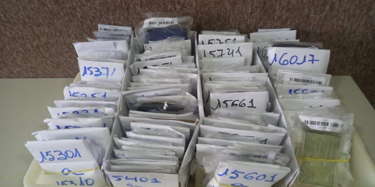 Mais de mil documentos são encontrados durante Carnaval; saiba como recuperar