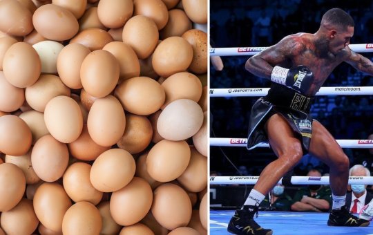 Ovos demais: lutador é pego no 'antidoping' por consumo excessivo da proteína