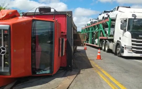 Carreta carregada com porcos vivos tomba na BR-116; animais são saqueados