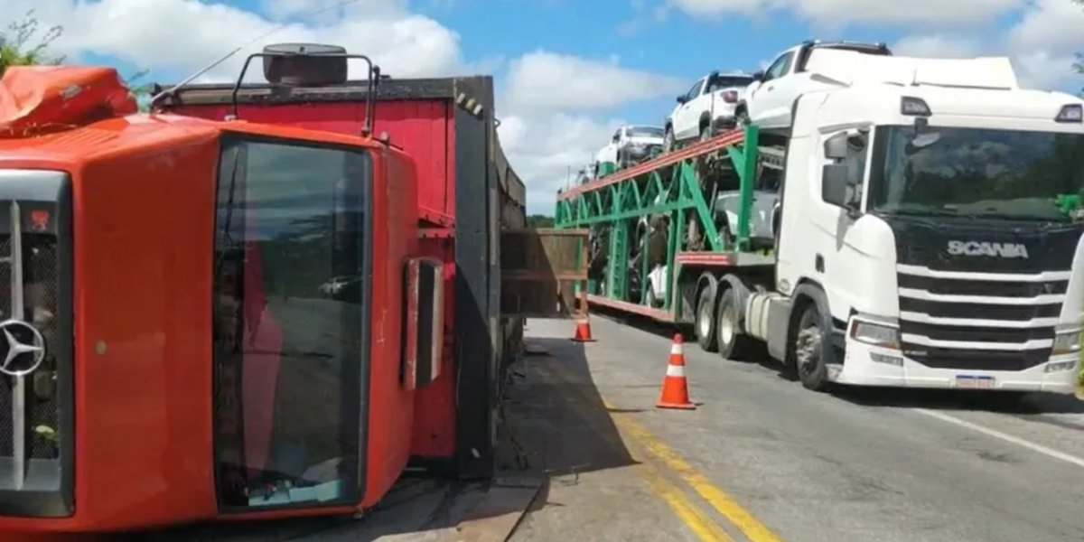 Carreta carregada com porcos vivos tomba na BR-116; animais são saqueados
