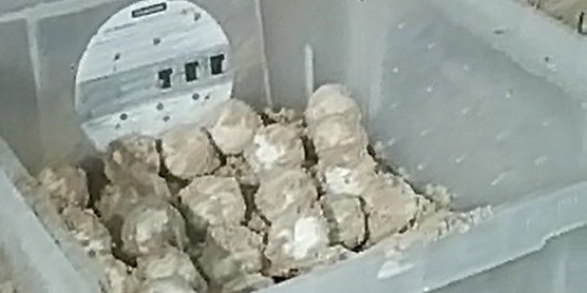 Grupo de proteção ambiental resgata 150 ovos de tartaruga na praia da Pituba