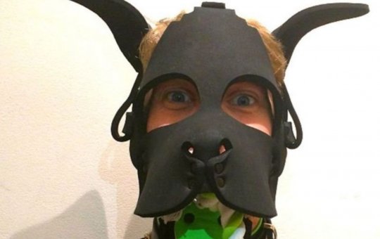 Tendência? Comunidades de cães humanos crescem e intrigam web