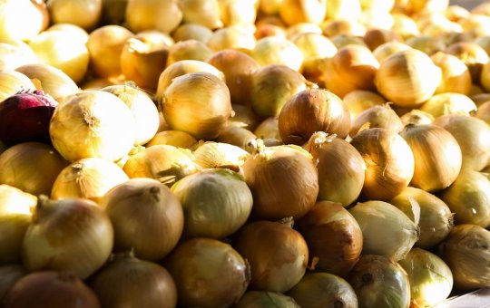 Inflação de produtos da Semana Santa tem alta de 12,21% na BA; cebola puxa alta