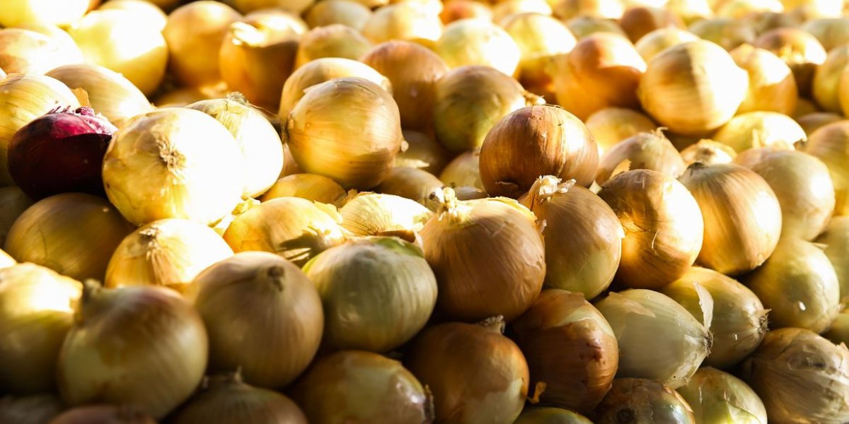 Inflação de produtos da Semana Santa tem alta de 12,21% na BA; cebola puxa alta