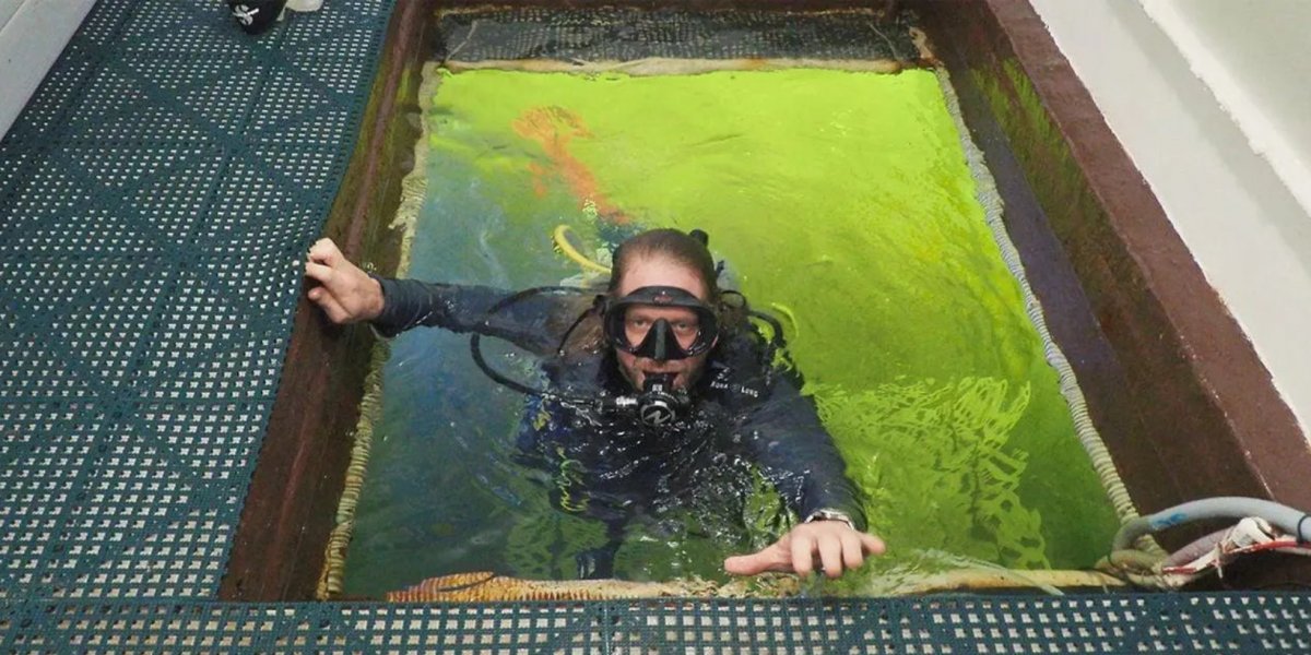 Professor de ciências decide passar 100 dias debaixo da água