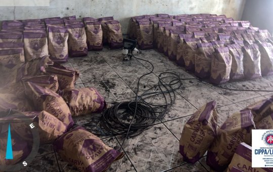 Polícia apreende 11 toneladas de carvão ilegal no oeste da Bahia