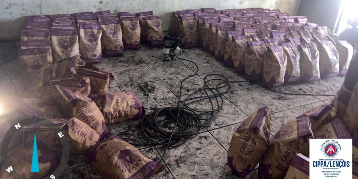 Polícia apreende 11 toneladas de carvão ilegal no oeste da Bahia