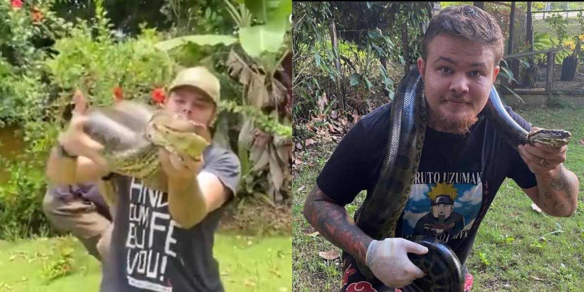 Homem leva picadas de jibóia para mostrar que nada acontece