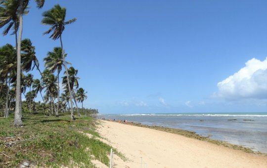 Vale do Capão, Praia do Forte e Imbassaí são destinos mais acolhedores da Bahia