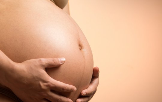 Governo promete pagar US$ 1 mil por mês para mulheres que engravidem