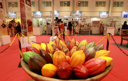 Salvador sedia feiras de chocolate e agricultura familiar até domingo