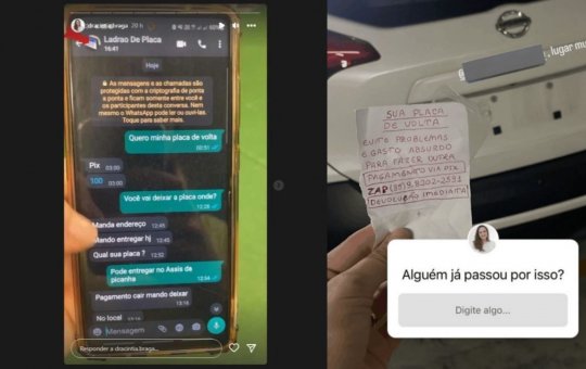 O Brasil não é para amadores: Ladrão rouba placa de carro e surpreende web